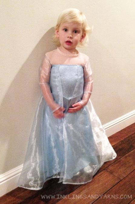 Home Made Elsa Dress